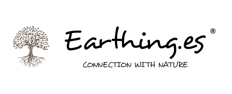 psd 2 logo earthing en